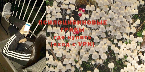 PSILOCYBIN Богородск