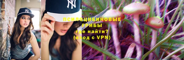 PSILOCYBIN Богородск