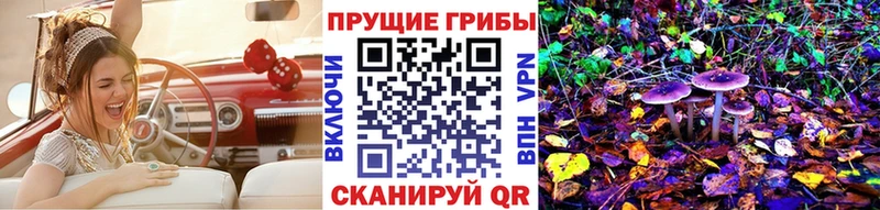 ссылка на мегу онион Санкт-Петербург Псилоцибиновые грибы мухоморы